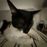 尤林克 profil fotoğrafı