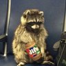 Profilbild von 4 Raccoons in a Trench Coat