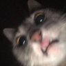 Shre_K's profile picture