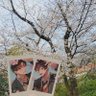 まめ's profile picture