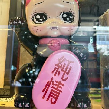 董小姐的日常's profile picture