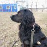 Фото профиля Владимир