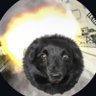 HeatUp's profile picture