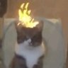 Employed's profile picture