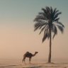بـنـدر profil fotoğrafı