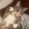 Mira's profile picture