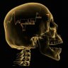 عمر الخطاب omar's profile picture