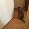 まー159's profile picture