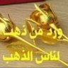 Фото профиля عماد محمد بسيوني ابو احمد