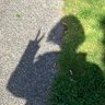 Profilbild von ぜら