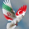 osmanlı torunu's profile picture