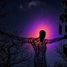 Quiet Observations 的头像