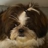 Profilbild von nene