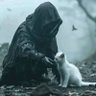 غازی یلغار's profile picture