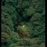 Фото профиля Ali Özel