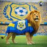Profilbild von Mohamed