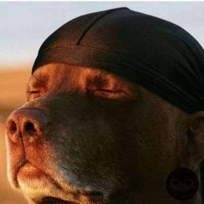 Cishamakeya 🙏's profile picture