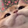 ก็บีมไง 的头像