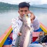 Profilbild von Snakehead