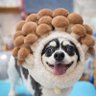Фото профиля ちーず