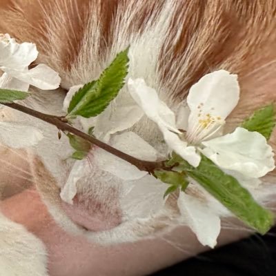 족족이's profile picture