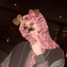 Profilbild von cuqui ౨ৎ