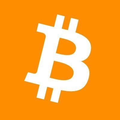 Bitcoin Intelligence's profile picture