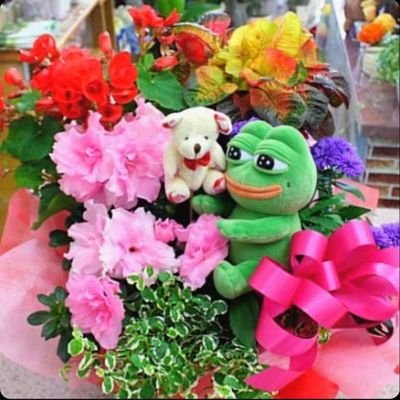 miyuka26886779's profile picture