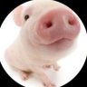 ⋆. 𐙚˚࿔ น้องหอม 𝜗𝜚˚⋆ profil fotoğrafı