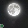 Monir Hafidi's profile picture