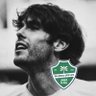 Фото профиля اللهم اجعل القارات من نصيب الاهلي 💚.