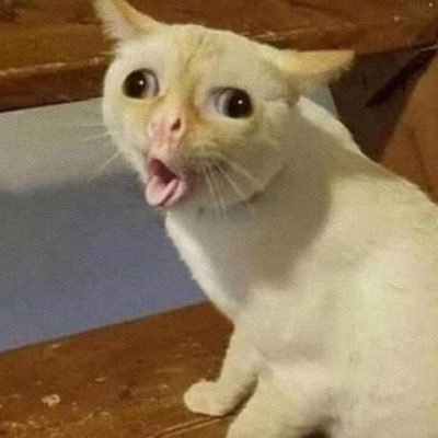 ttandcantstop's profile picture