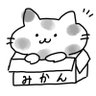 ましろ🍣🌙@8/29AtR夏's profile picture