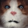 Cheddy McElhenney ็ๅคดๅ