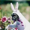 Фото профиля BDV