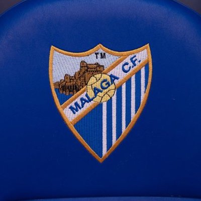 El Málaga es de PRIMERA 🤍💙's profile picture