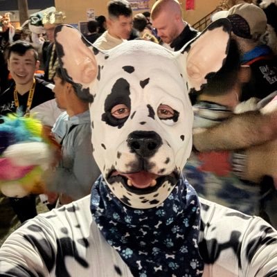 maskedpup's profile picture