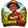 gokweboy 的头像