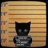 Batu profil fotoğrafı