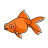 南極魚 profil fotoğrafı