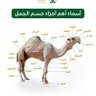 Фото профиля kaled abdo