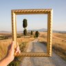 Bigger Picture's profile picture