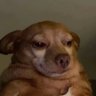 Profilbild von sam