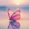 dodo❤️🇪🇬 profil fotoğrafı