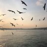 Фото профиля abdelrhaman Hanzal