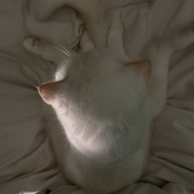 ẞRı (มีแอคเดียว)'s profile picture