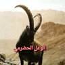 Фото профиля شادية «حضرموت 1967»