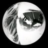 Dilek Seba's profile picture