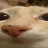 Eren's profile picture
