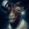 GOAT 🐐 的头像